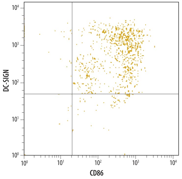 Detection of DC-SIGN in Human Monocyte Derived Dendritic Cells by Flow Cytometry. Detection of DC-SIGN antibody in Human Monocyte Derived Dendritic Cells antibody by Flow Cytometry.