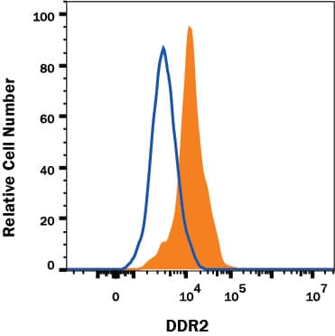 Detection of Human DDR2 antibody in HEK293 Human Cell Line.