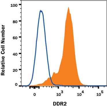 Detection of Human DDR2 antibody in HEK293 Human Cell Line.