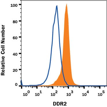 Detection of Human DDR2 antibody in HEK293 Human Cell Line.