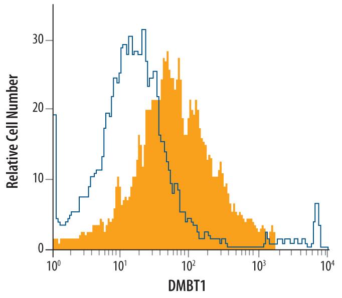 Detection of DMBT1 antibody in CMT-93 Mouse Cell Line antibody by Flow Cytometry.