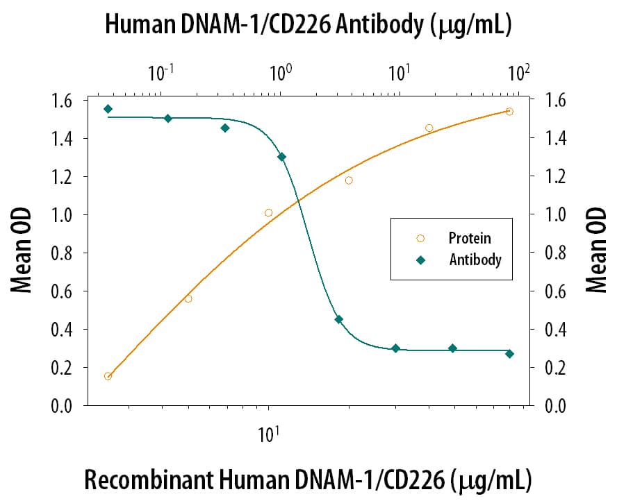 Cell Adhesion Mediated by DNAM-1/CD226 and Neutral-ization by Human DNAM-1/ CD226 Antibody.