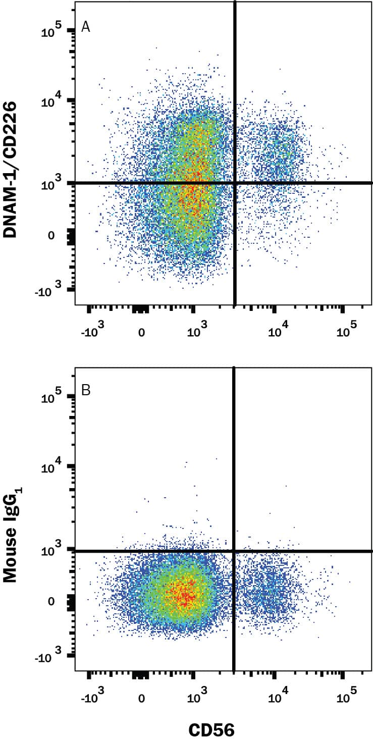 Detection of DNAM-1/CD226 antibody in Human Blood Lymphocytes antibody by Flow Cytometry.