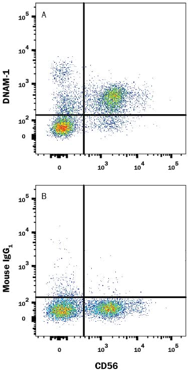 Detection of DNAM-1/CD226 antibody in Human PBMCs antibody by Flow Cytometry.