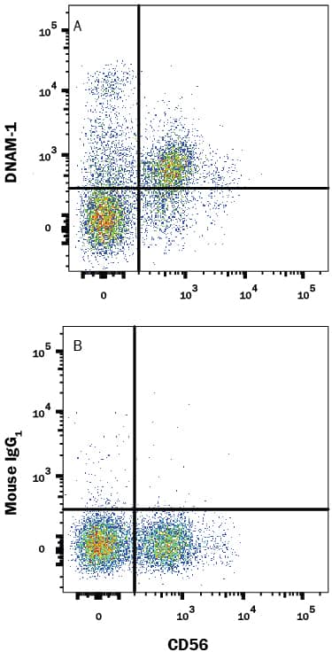 Detection of DNAM-1/CD226 antibody in Human PBMCs antibody by Flow Cytometry.