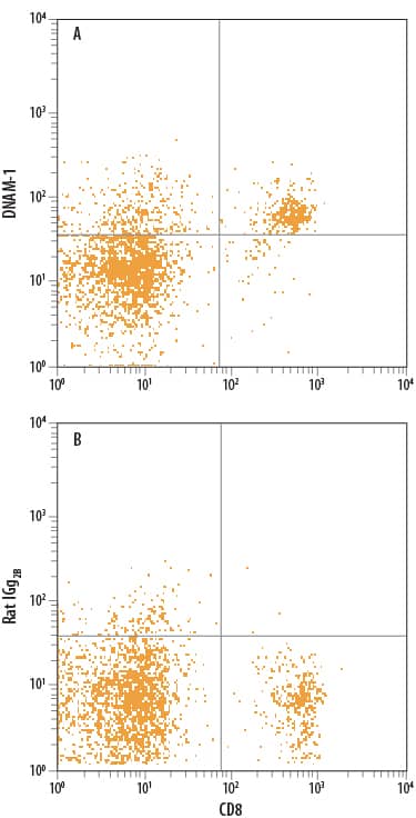 Detection of DNAM-1/CD226 antibody in Mouse Splenocytes antibody by Flow Cytometry.