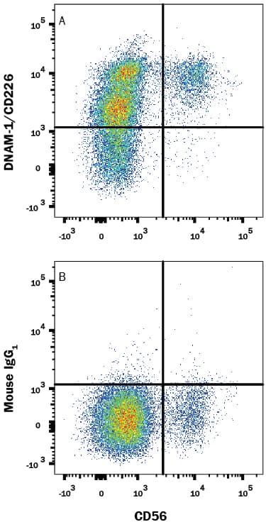 Detection of DNAM-1/CD226 antibody in Human PBMCs antibody by Flow Cytometry.