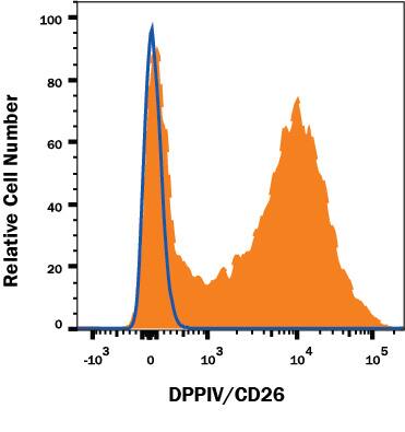 Detection of DPPIV/CD26 antibody in Human Blood Lymphocytes antibody by Flow Cytometry.