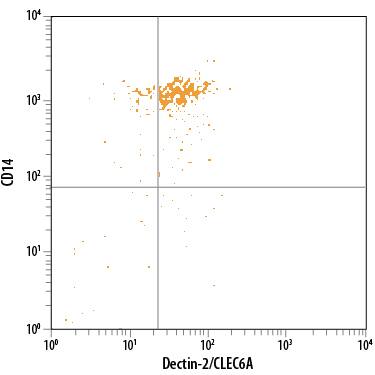 Detection of Dectin-2/CLEC6A antibody in Human Blood Monocytes antibody by Flow Cytometry.