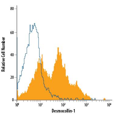 Detection of Desmocollin-1 antibody in B16-F1 Mouse Cell Line antibody by Flow Cytometry.