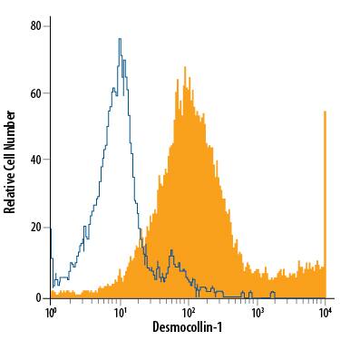 Detection of Desmocollin-1 antibody in A549 Human Cell Line antibody by Flow Cytometry.