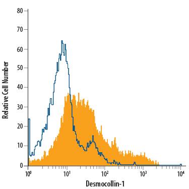 Detection of Desmocollin-1 antibody in B16-F1 Mouse Cell Line antibody by Flow Cytometry.