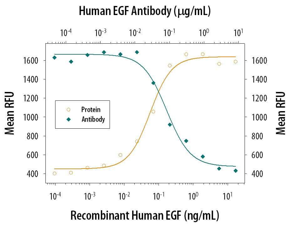 Cell Proliferation Induced by EGF and Neutralization by Human EGF Antibody.