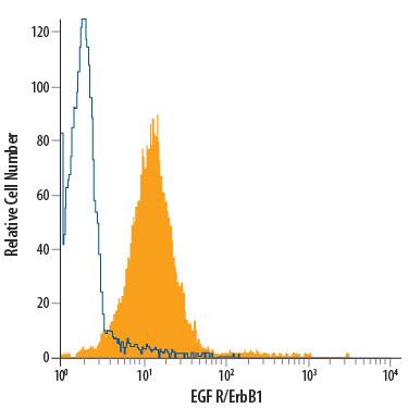 Detection of EGF R/ErbB1 antibody in A431 human epithelial carcinoma cell line antibody by Flow Cytometry.