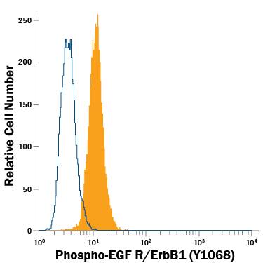 Detection of EGF R/ErbB1 antibody in A431 Human Cell Line antibody by Flow Cytometry.