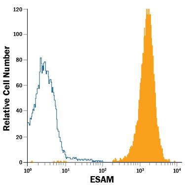 Detection of ESAM antibody in HUVEC Human Cell Line antibody by Flow Cytometry.