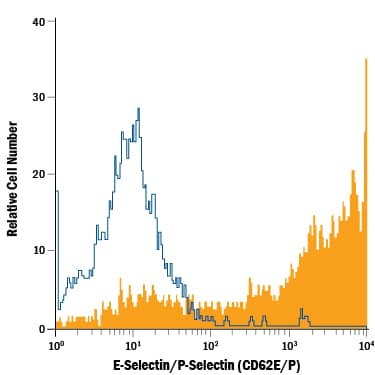 Detection of E-Selectin/P-Selectin (CD62E/P) antibody in HUVEC Human Cells antibody by Flow Cytometry.