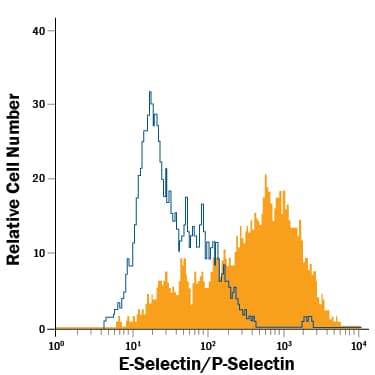 Detection of E-Selectin/P-Selectin (CD62E/P) antibody in HUVEC Human Umbilical Vein Endothelial Cells antibody by Flow Cytometry.