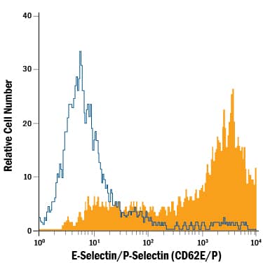 Detection of E-Selectin/P-Selectin (CD62E/P) antibody in HUVEC Human Cells antibody by Flow Cytometry.