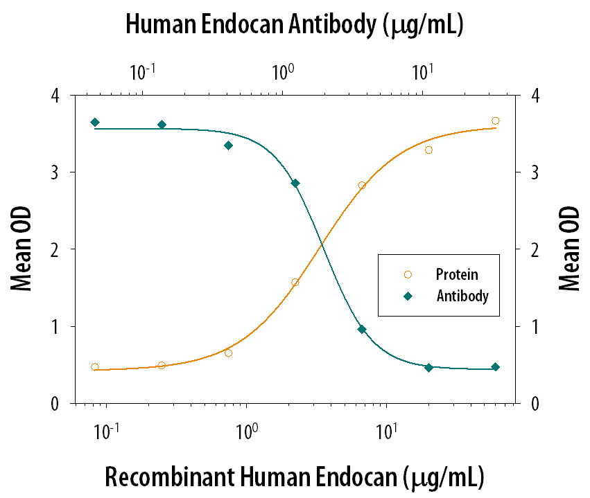 Cell Adhesion Mediated by Endocan/ESM‑1 and Neutral-ization by Human Endocan/ESM‑1 Antibody.