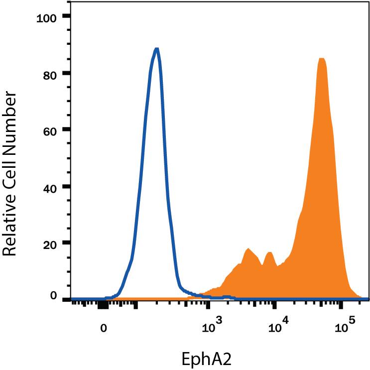 Detection of EphA2 antibody in HEK293 Human Cell Line Transfected with Mouse EphA2 antibody by Flow Cytometry.