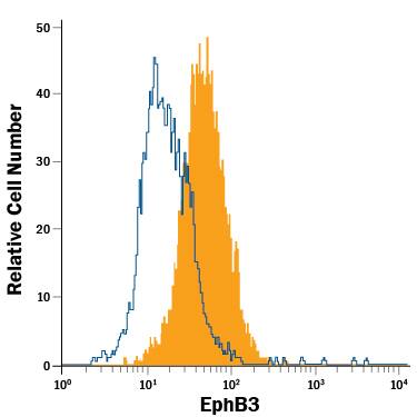 Detection of EphB3 antibody in SH-SY5Y Human Cell Line antibody by Flow Cytometry.