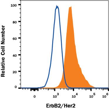 Detection of ErbB2/Her2 antibody in 3T3-L1 Mouse Cell Line antibody by Flow Cytometry.