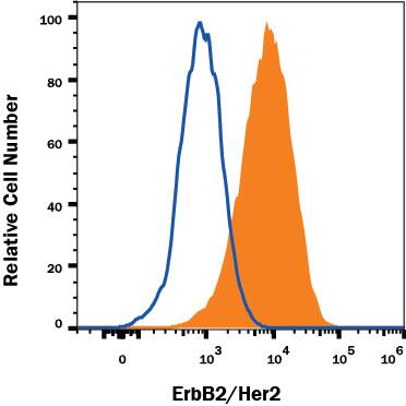 Detection of ErbB2/Her2 antibody in 3T3-L1 Mouse Cell Line antibody by Flow Cytometry.