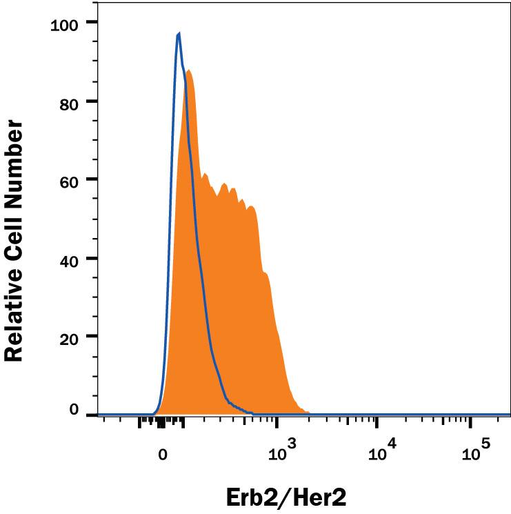 Detection of ErbB2/Her2 antibody in 3T3-L1 Mouse Cell Line antibody by Flow Cytometry.