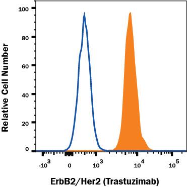 Detection of ErbB2/Her2 antibody in MCF-7 human cell line antibody by Flow Cytometry.