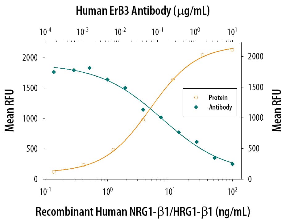 Cell Proliferation Induced by NRG1‑ beta1/HRG1‑ beta1 and Neutralization by Human ErbB3/Her3 Antibody.
