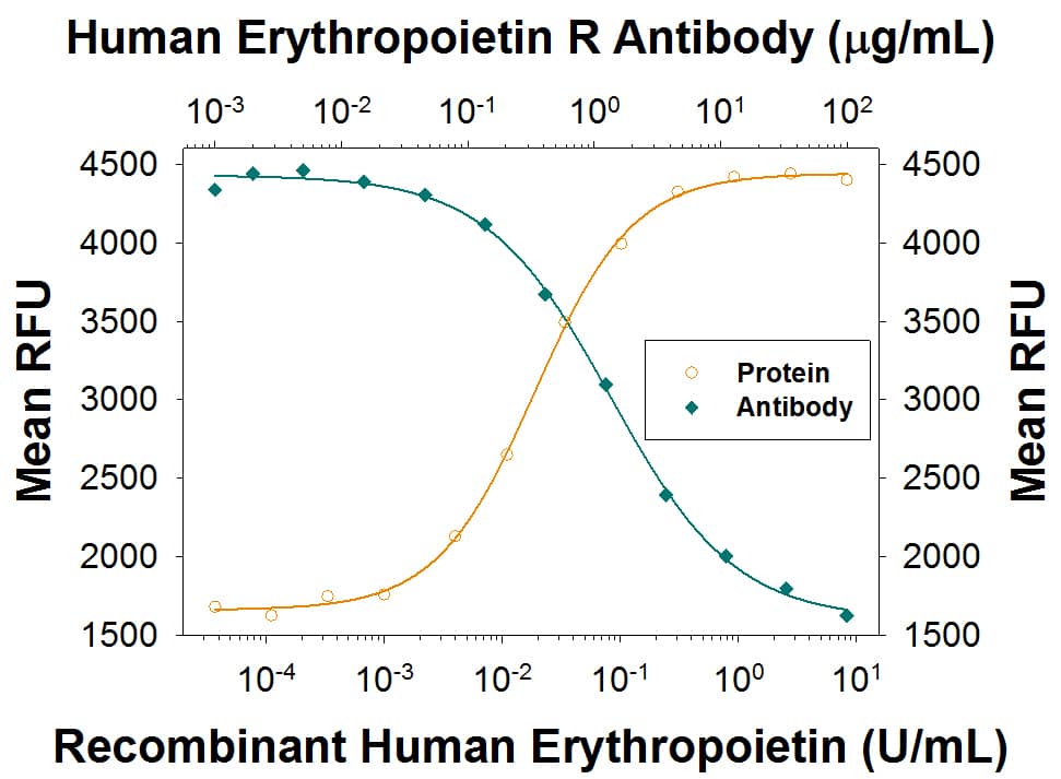 Proliferation Induced by Erythropoietin and Neutralization by Human Erythropoietin R Antibody.