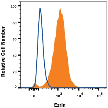 Detection of Ezrin antibody in HeLa Human Cell Line antibody by Flow Cytometry.