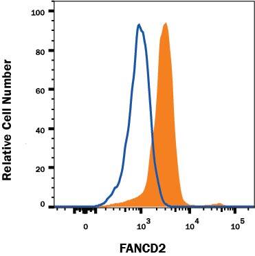 Detection of FANCD2 antibody in HeLa Human Cell Line antibody by Flow Cytometry.
