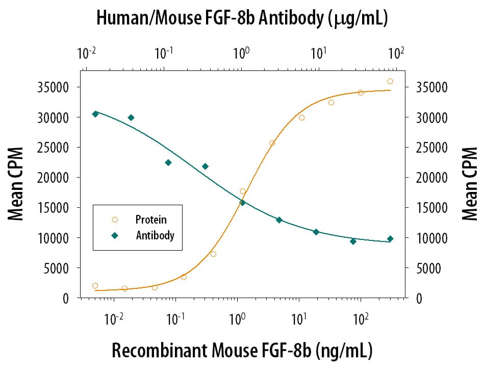 Cell Proliferation Induced by FGF‑8 and Neutralization by Human and Mouse FGF‑8 Antibody.