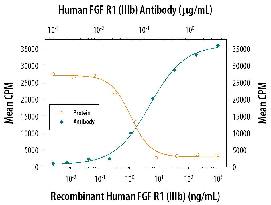 FGF R1 alpha Inhibition of FGF acidic-dependent Cell Proliferation and Neutralization by Human FGF R1 Antibody.