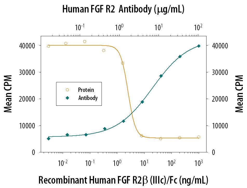 FGF R2 beta Inhibition of FGF acidic-dependent Cell Proliferation and Neutralization by Human FGF R2 Antibody.