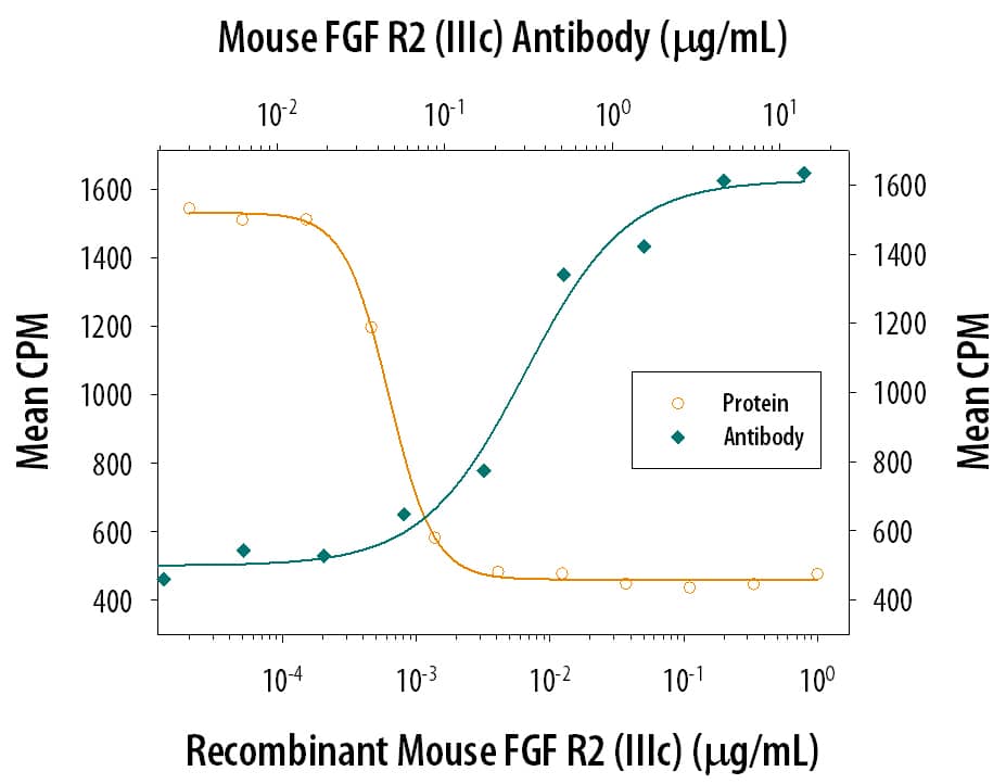 FGF R2 beta Inhibition of FGF acidic-dependent Cell Proliferation and Neutralization by Rat Anti-Mouse FGF R2 Antibody.