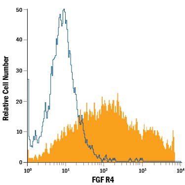 Detection of FGF R4 antibody in MCF-7 Human Cell Line antibody by Flow Cytometry.