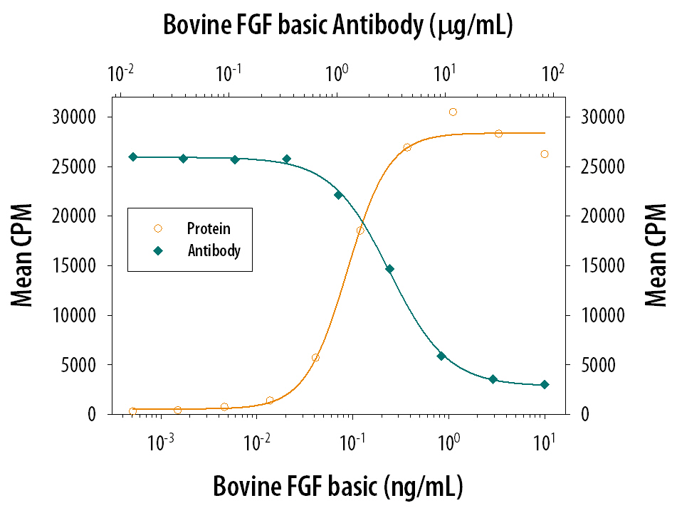 Cell Proliferation Induced by FGF basic/FGF2/bFGF and Neutralization by Bovine FGF basic/FGF2/bFGF Antibody.