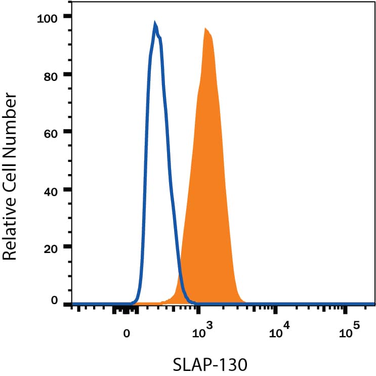 Detection of FYB/ADAP/SLAP130 antibody in Jurkat Human Cell Line antibody by Flow Cytometry