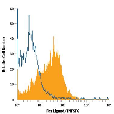 Detection of Fas Ligand/TNFSF6 in HEK293 Human Cell Line Transfected with Mouse Fas Ligand/TNFSF6 by Flow Cytometry. Detection of Fas Ligand/TNFSF6 antibody in HEK293 Human Cell Line Transfected with Mouse Fas Ligand/TNFSF6 antibody by Flow Cytometry.