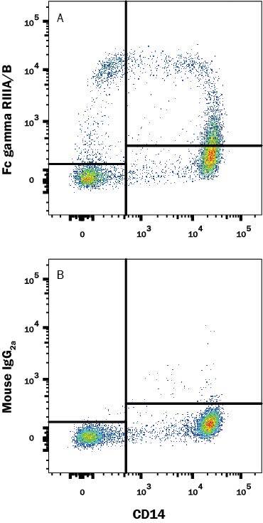 Detection of Fc gamma RIII (CD16) antibody in Human PBMCs antibody by Flow Cytometry.