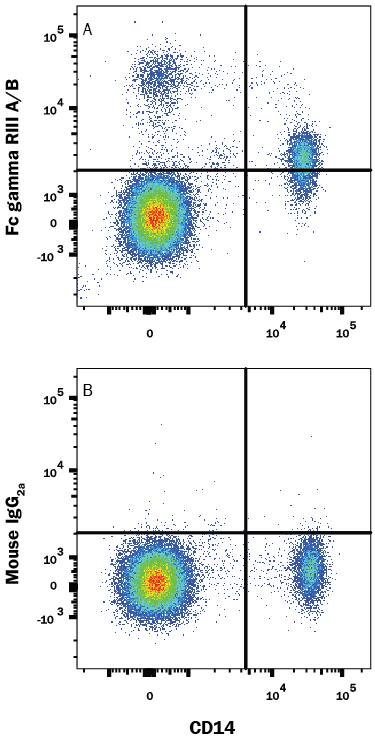 Detection of Fc gamma RIII (CD16) antibody in Human PBMCs antibody by Flow Cytometry.