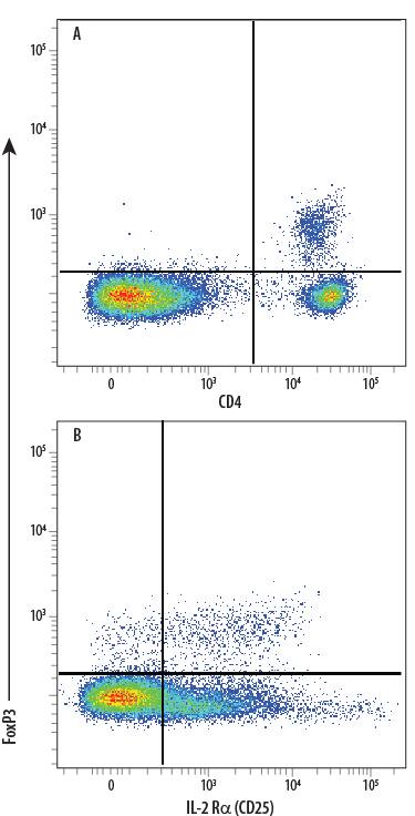 Detection of FoxP3 antibody in C57BL/6 Mouse Splenocyte Natural Tregs antibody by Flow Cytometry.