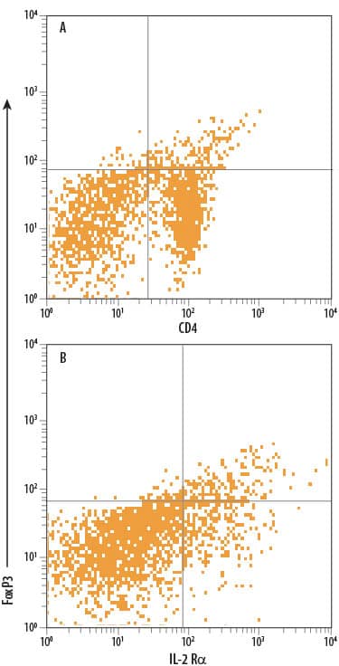Detection of FoxP3 antibody in Mouse Splenocytes antibody by Flow Cytometry.
