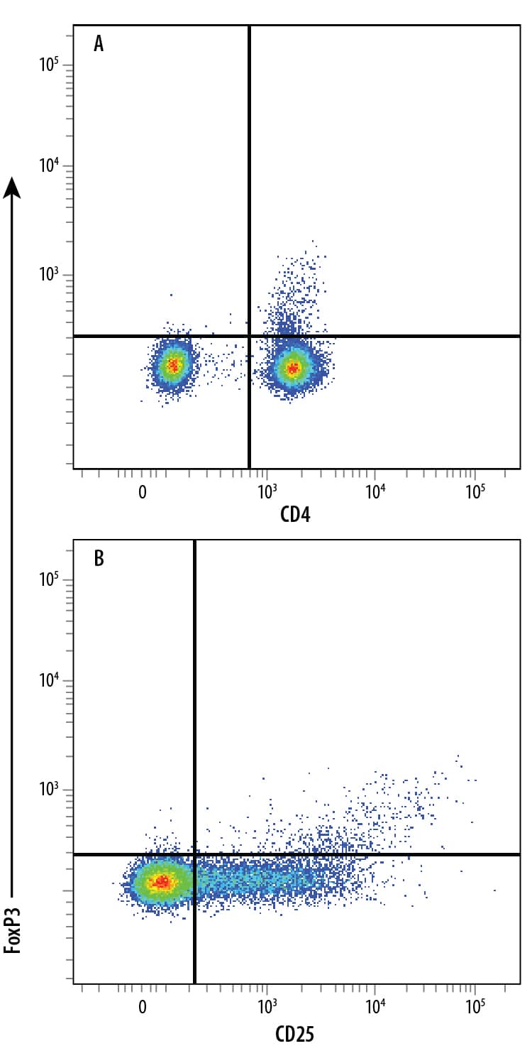 Detection of FoxP3 antibody in Human PBMC Natural Tregs antibody by Flow Cytometry.