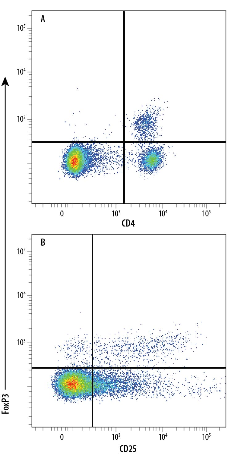 Detection of FoxP3 antibody in C57BL/6 Mouse Splenocyte Natural Tregs antibody by Flow Cytometry.