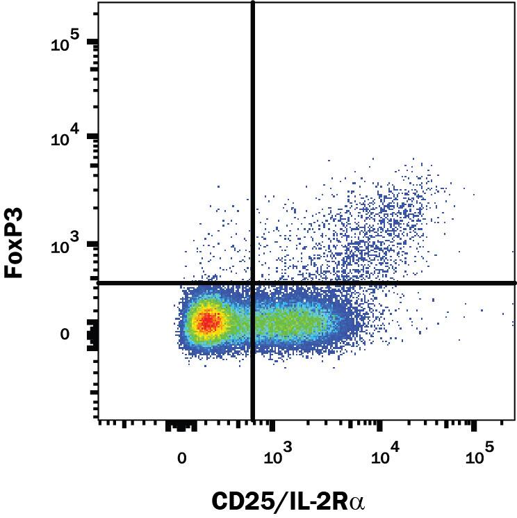 Detection of FoxP3 antibody in Human PBMCs antibody by Flow Cytometry.