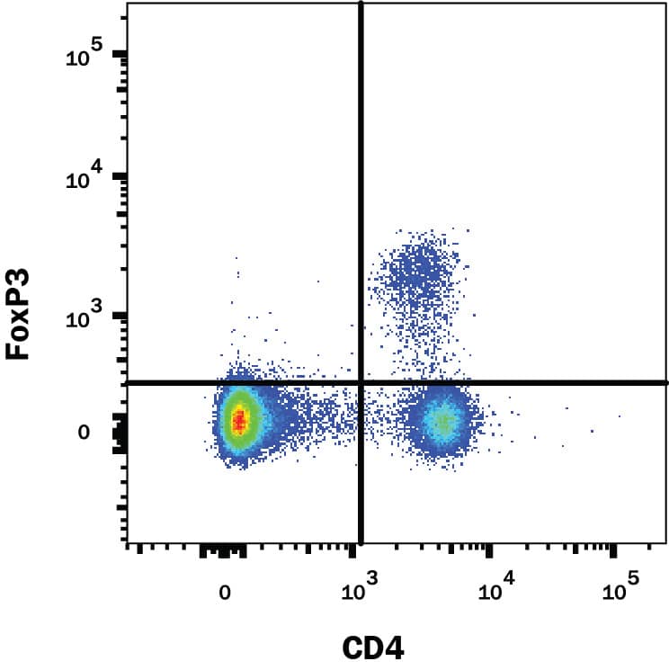 Detection of FoxP3 antibody in Mouse Splenocytes antibody by Flow Cytometry.